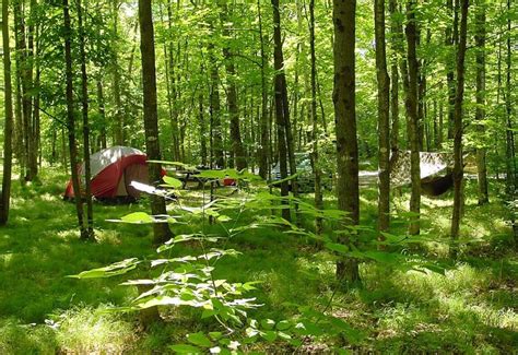 nicolet national forest camping|More.